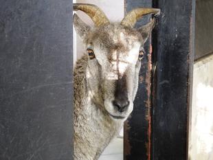 ☆祝ウラン20歳☆