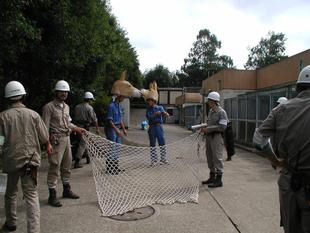 【思い出の金沢動物園15】飼育員の昔と今