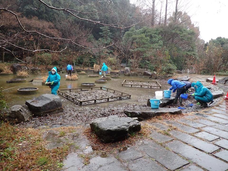 かいぼりの写真
