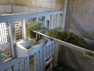 続々！ゾウ舎の新設備～餌を入れる方法は？編