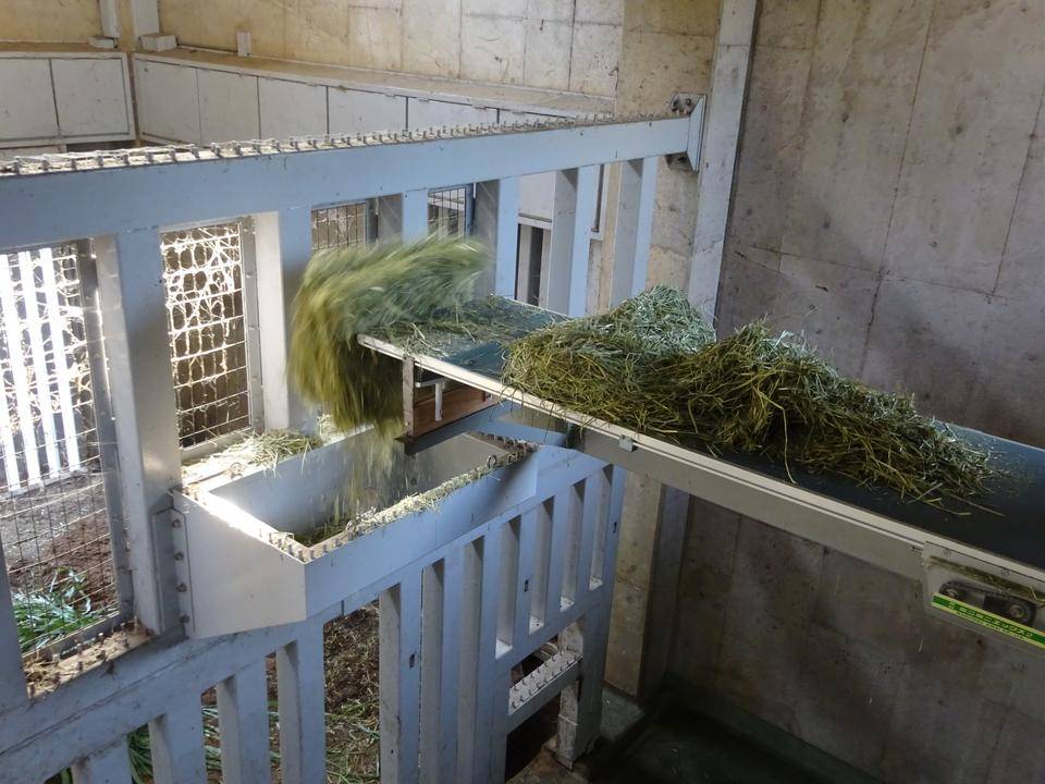 続々!ゾウ舎の新設備~餌を入れる方法は?編の写真