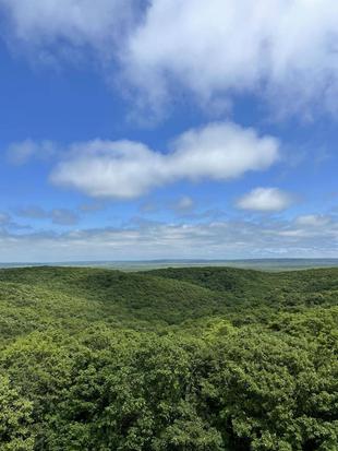 「ブログ de トラベル」北海道の動物に会いに行こう!!(出発編)
