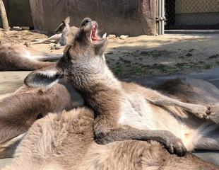 すっかり春の陽気