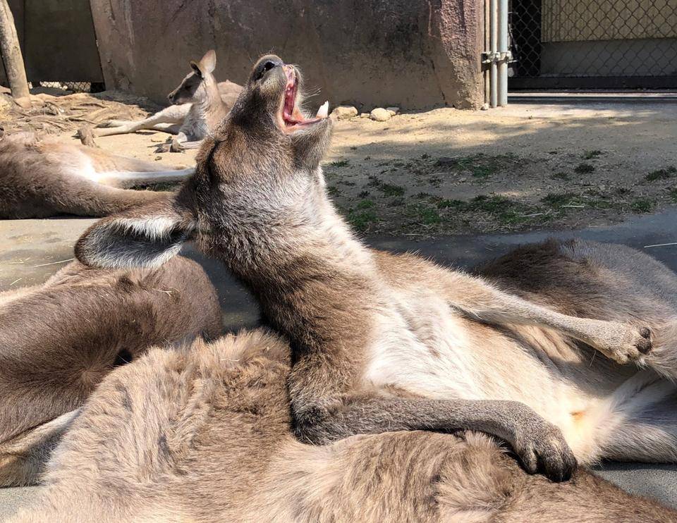 すっかり春の陽気の写真