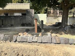 リニューアル！！！