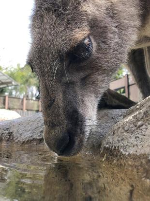 だんだんと暖かくなってきました、水分補給忘れずに