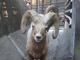 新リーダーは誰？