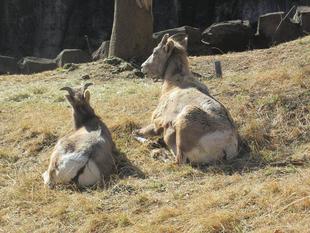 2021年度下半期ベストショットとお知らせ