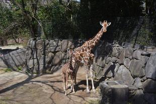 展示場に出る練習を再開しました!