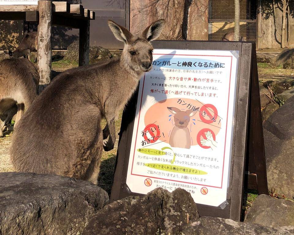 お客様が多くなる時期なので、再度のおねがいですの写真