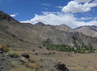 「ブログ de トラベル」ラダックで野生のバーラルにあえるかな?(ウリアル編)