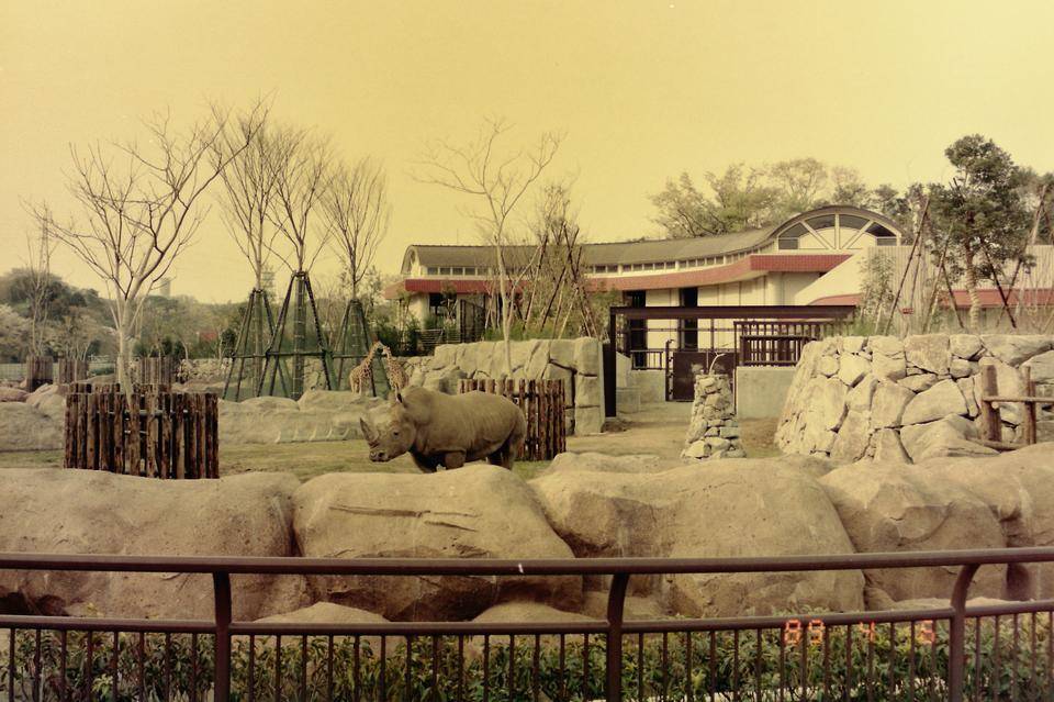 【思い出の金沢動物園22】あいまいな記憶の写真