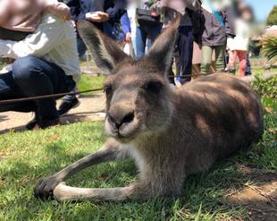  GWのピョンチャン