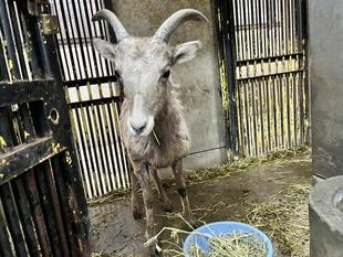 ウタマル初めての岩山