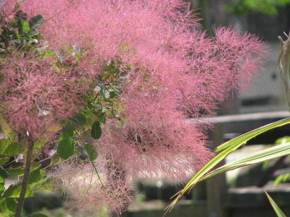 まもなく梅雨の時期が到来します!の写真