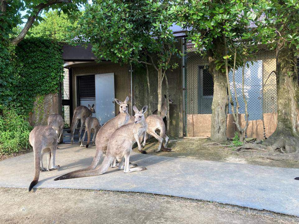休息エリア拡大中の写真