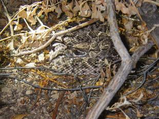 ブログ de トラベル　～　アメリカ南西部　②　～