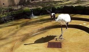 休園日の恒例行事