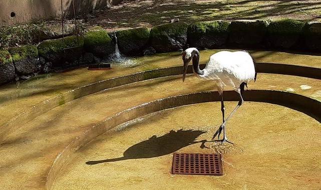 休園日の恒例行事の写真