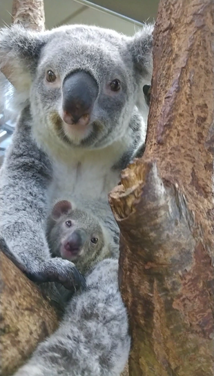 おまたせしました!