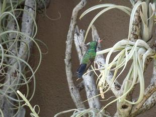 ブログ de トラベル ~ アメリカ南西部④