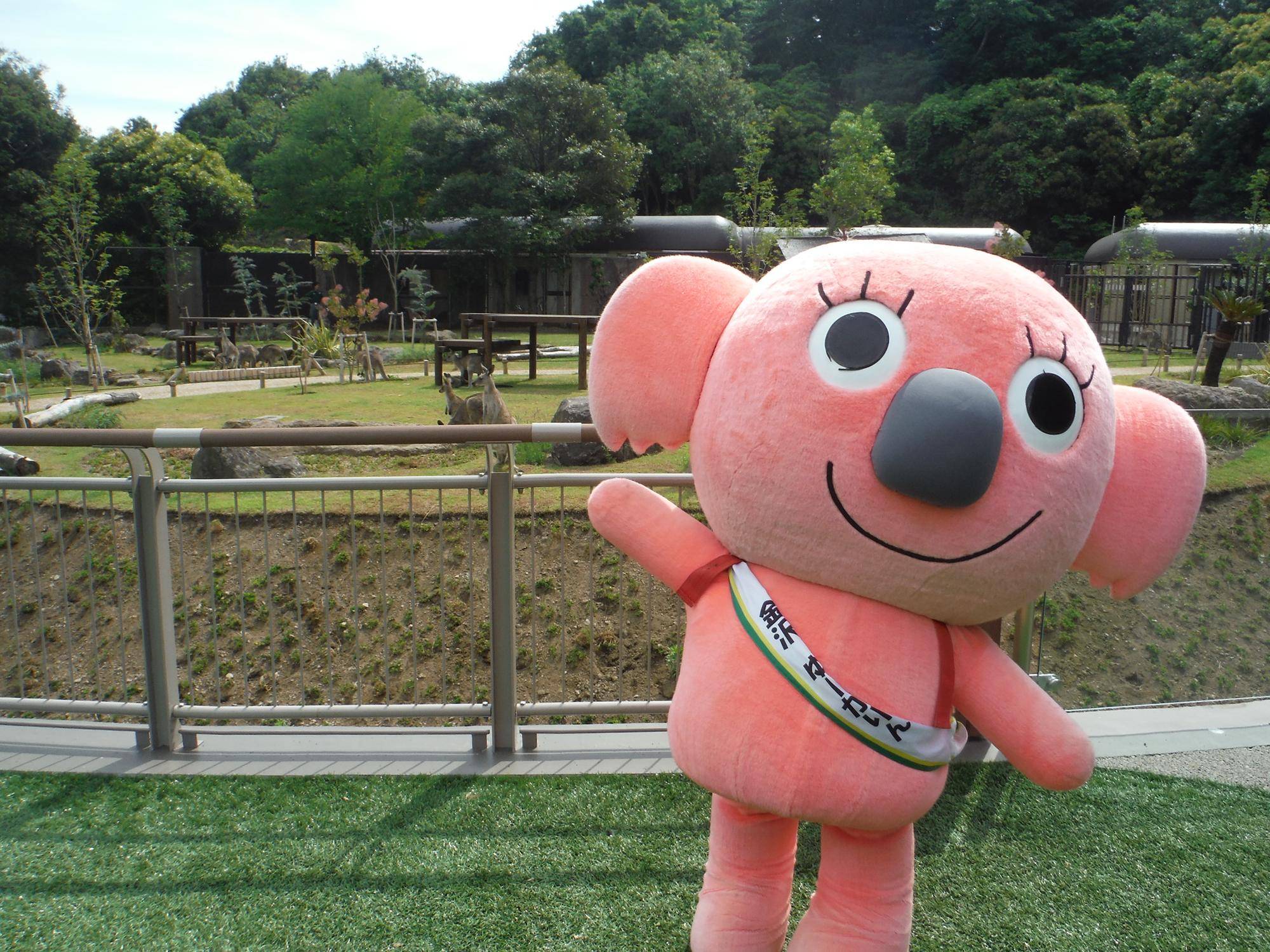 こちらの「コアラ」にも投票をお願いしますの写真
