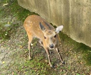 ......おや!?メイの様子が......!