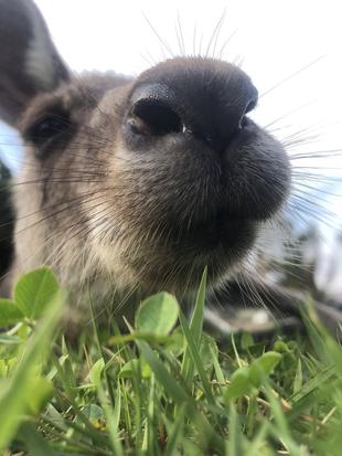 すっかり秋の陽気です