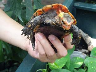 ブログ de トラベル ~ アメリカ南西部⑧ ~