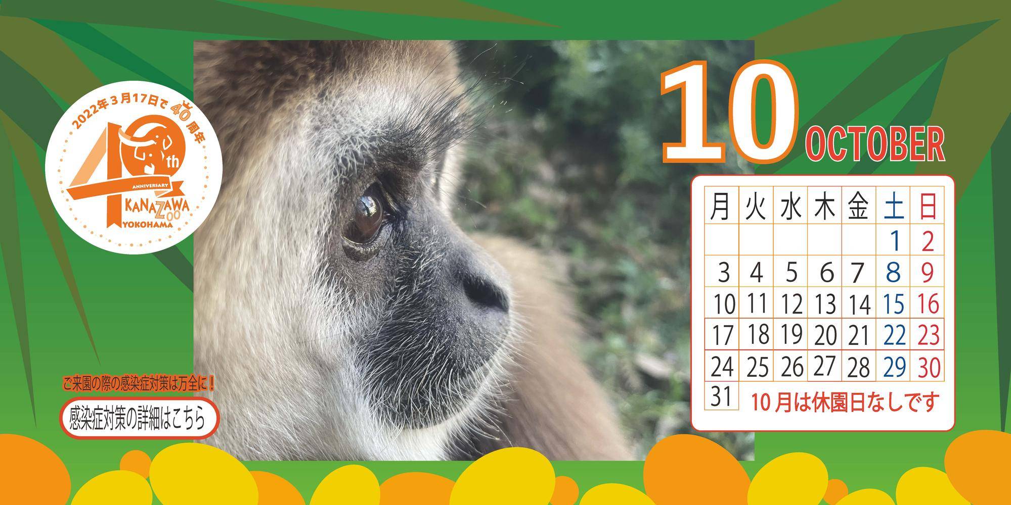 金沢動物園公式サイト 公益財団法人 横浜市緑の協会