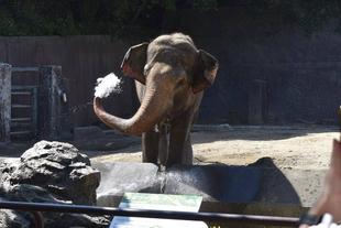 クラウドファンディングのご報告