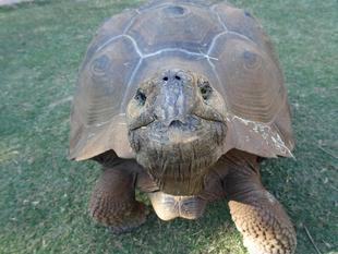 ブログ de トラベル　～　アメリカ南西部⑨　～