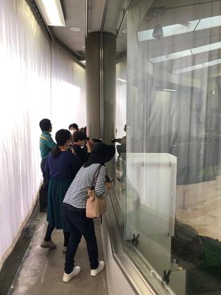 アニマルペアレント感謝の日イベントを行いました