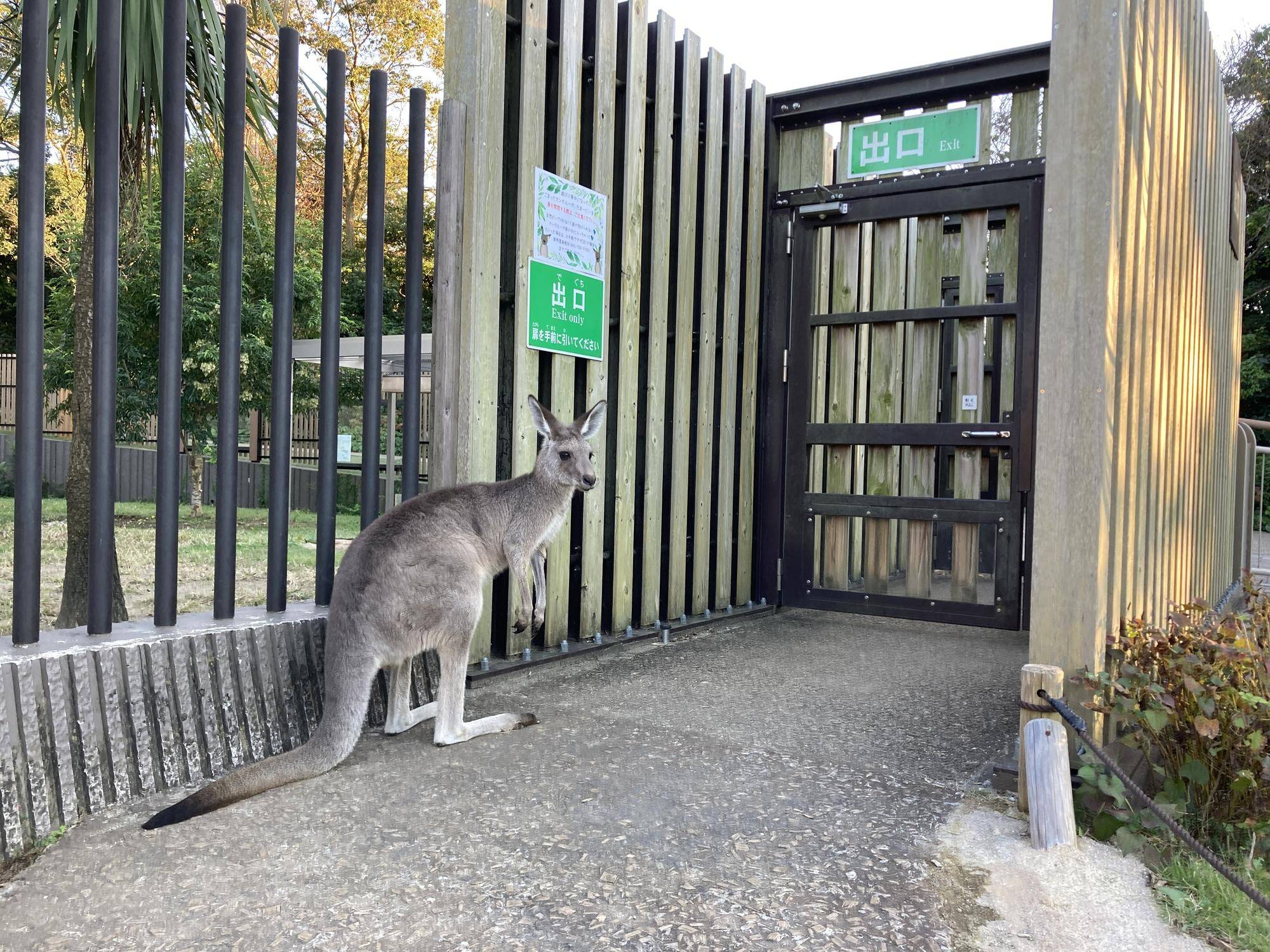 2つの扉の謎の写真