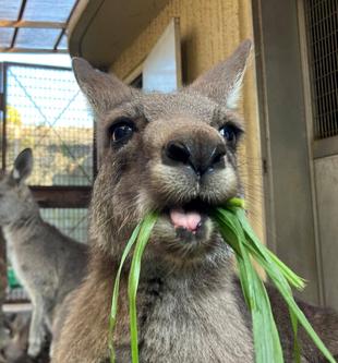 イタリアン再開☆