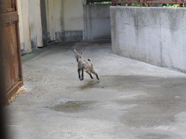 祝・6か月 の写真