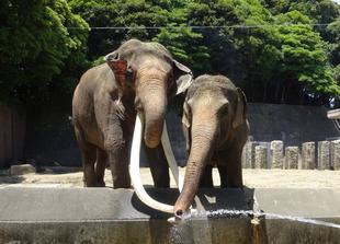 ご支援ありがとうございました！