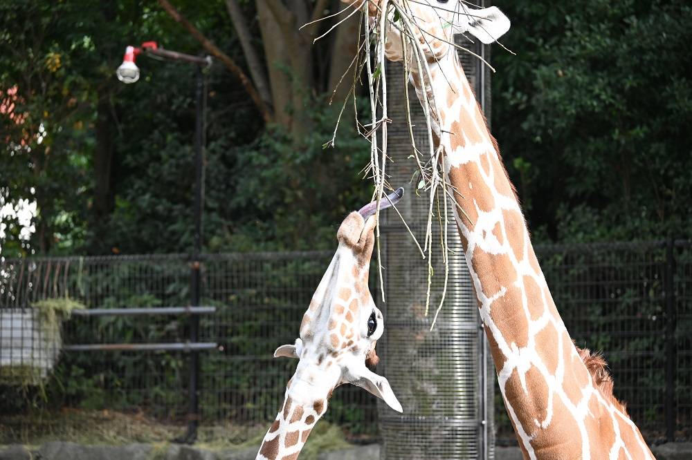 1歳になりました!の写真