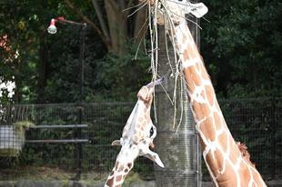 １歳になりました！