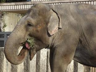 久し振りの体重測定