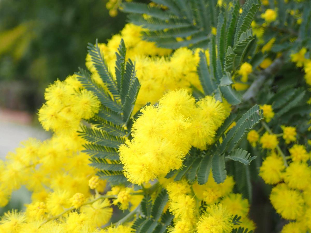 c58d69671b547033aaaa5e43d35e3d