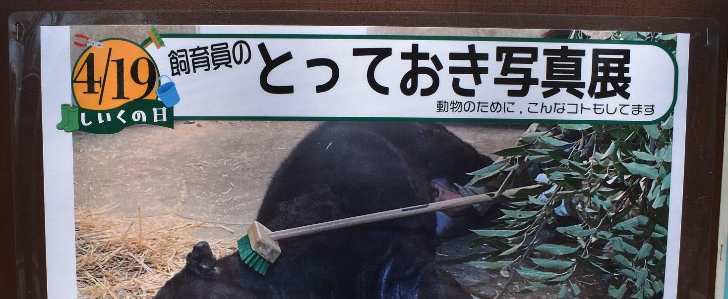 飼育の日イベントの写真