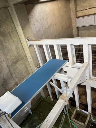 ご報告、遅くなりました!その理由とは...。