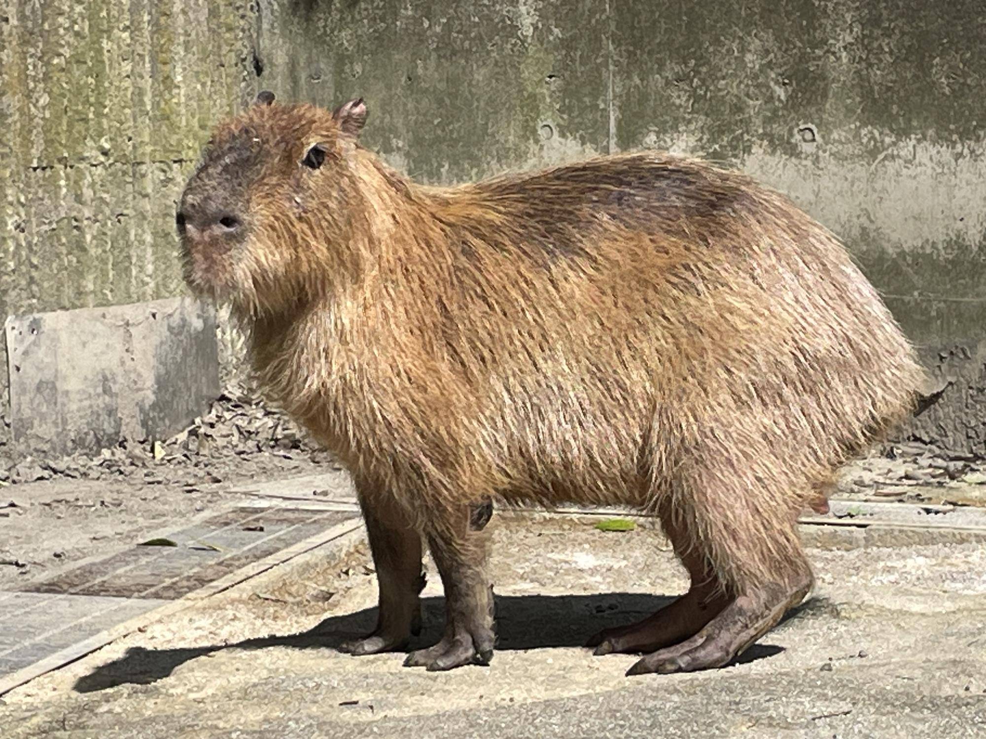 リニューアルして再登場!の写真