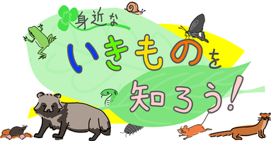 🦋 夏休み企画展「身近ないきものを知ろう！」2026の画像