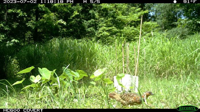 IMG_0420.jpgのサムネイル画像