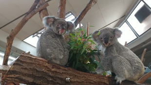 なかよく　みんなで