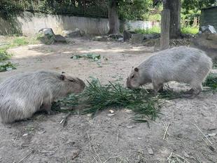 難易度あがった？