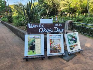 「世界オカピの日」（10月15日は雨天のため、午後からの開催となります。）