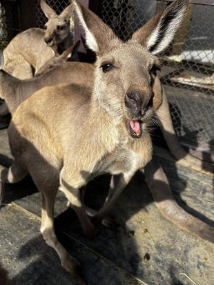 引っ越ししました